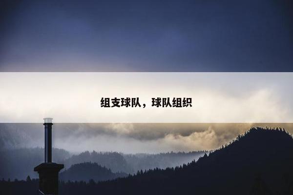 组支球队，球队组织