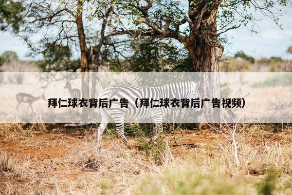 拜仁球衣背后广告（拜仁球衣背后广告视频）