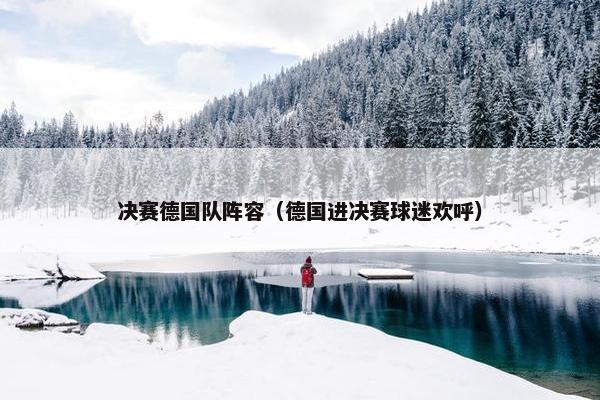 决赛德国队阵容（德国进决赛球迷欢呼）