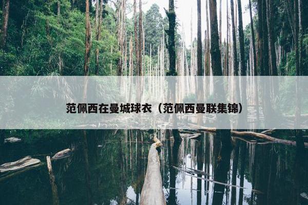 范佩西在曼城球衣（范佩西曼联集锦）