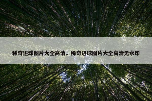 稀奇进球图片大全高清，稀奇进球图片大全高清无水印