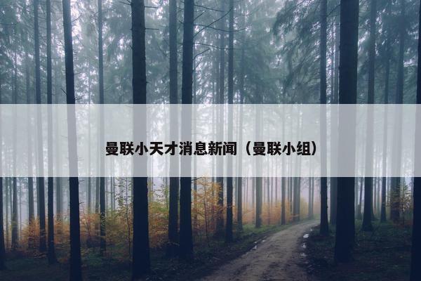 曼联小天才消息新闻（曼联小组）