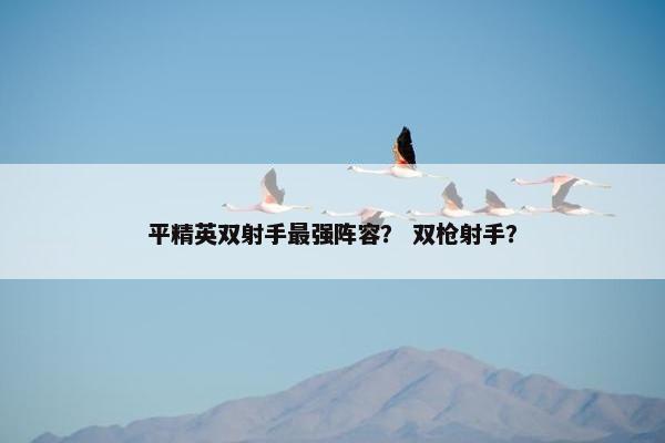 平精英双射手最强阵容？ 双枪射手？