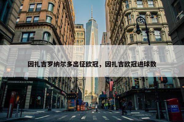 因扎吉罗纳尔多出征欧冠，因扎吉欧冠进球数