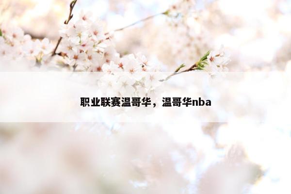 职业联赛温哥华，温哥华nba