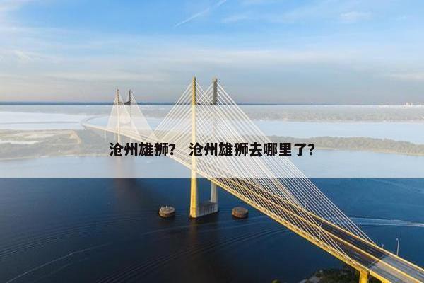 沧州雄狮？ 沧州雄狮去哪里了？