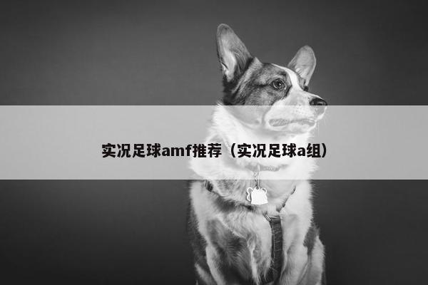 实况足球amf推荐（实况足球a组）