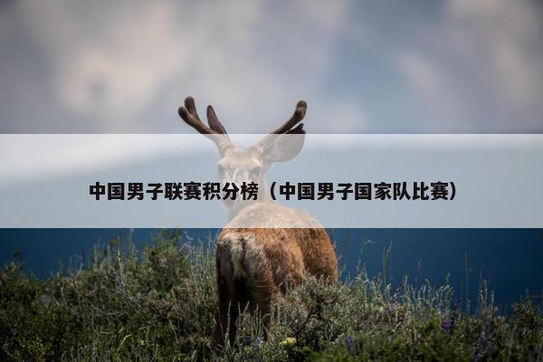 中国男子联赛积分榜（中国男子国家队比赛）