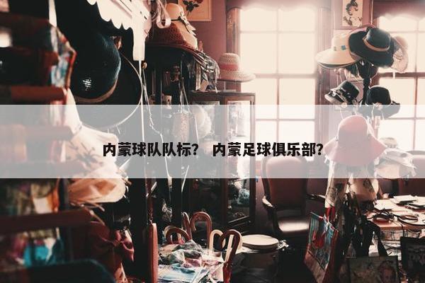 内蒙球队队标？ 内蒙足球俱乐部？