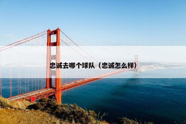 忠诚去哪个球队（忠诚怎么样）