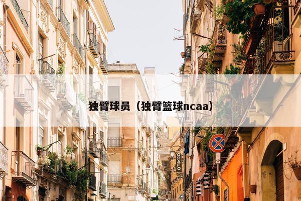 独臂球员（独臂篮球ncaa）