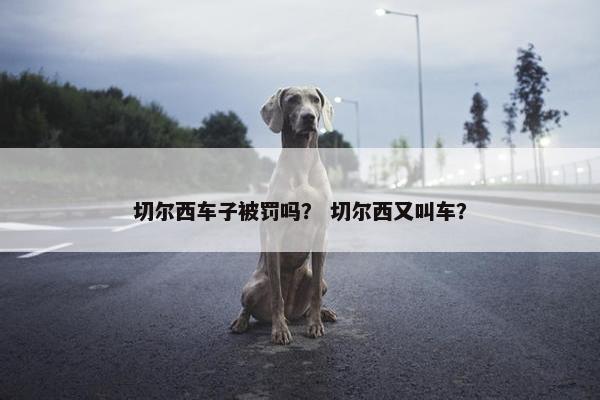 切尔西车子被罚吗？ 切尔西又叫车？