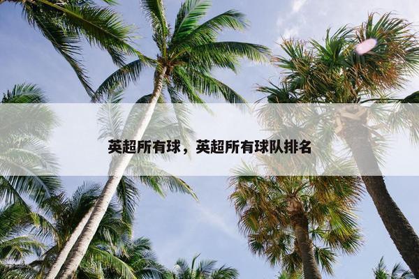 英超所有球，英超所有球队排名