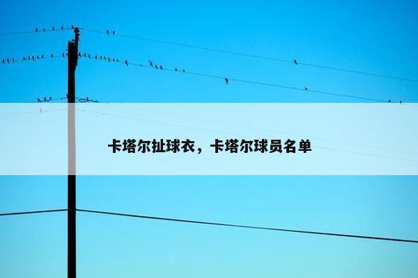 卡塔尔扯球衣，卡塔尔球员名单