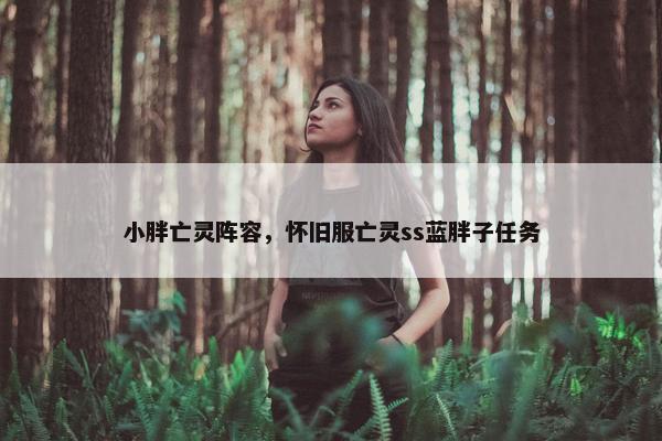 小胖亡灵阵容，怀旧服亡灵ss蓝胖子任务