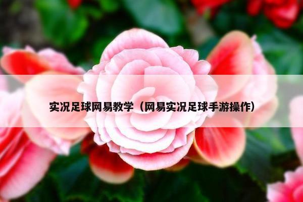 实况足球网易教学（网易实况足球手游操作）
