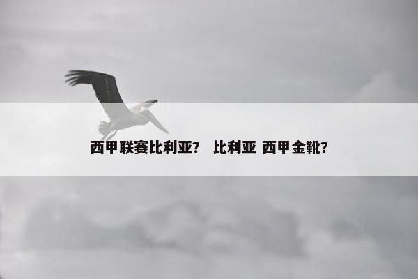 西甲联赛比利亚？ 比利亚 西甲金靴？