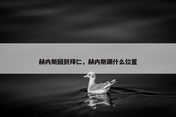 赫内斯回到拜仁，赫内斯踢什么位置