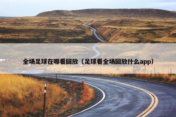 全场足球在哪看回放（足球看全场回放什么app）