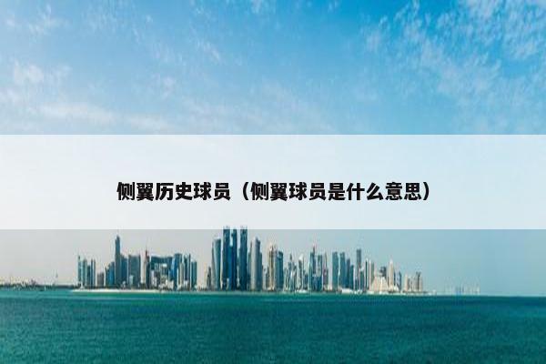 侧翼历史球员（侧翼球员是什么意思）