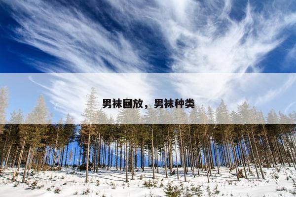 男袜回放，男袜种类