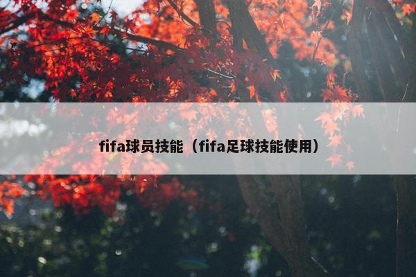 fifa球员技能（fifa足球技能使用）