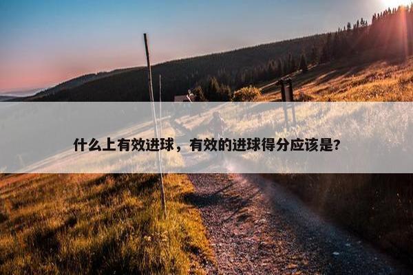 什么上有效进球，有效的进球得分应该是?