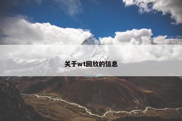 关于wt回放的信息