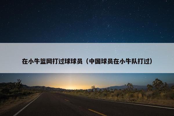 在小牛篮网打过球球员（中国球员在小牛队打过）