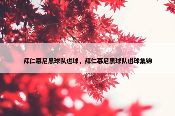 拜仁慕尼黑球队进球，拜仁慕尼黑球队进球集锦