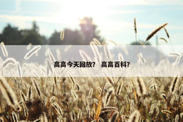 高高今天回放？ 高高百科？