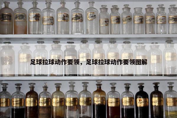 足球拉球动作要领，足球拉球动作要领图解