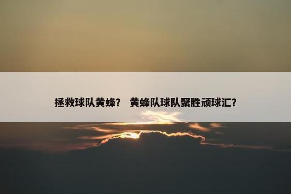 拯救球队黄蜂？ 黄蜂队球队聚胜顽球汇？