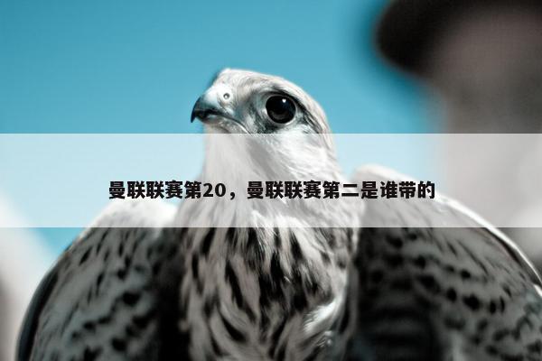 曼联联赛第20，曼联联赛第二是谁带的