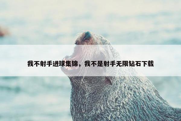 我不射手进球集锦，我不是射手无限钻石下载