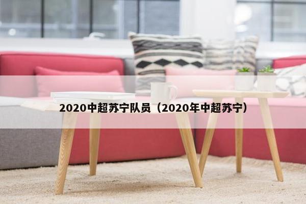 2020中超苏宁队员（2020年中超苏宁）