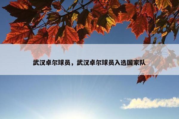 武汉卓尔球员，武汉卓尔球员入选国家队