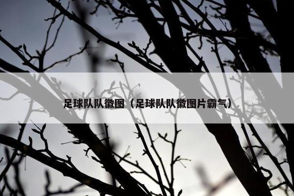 足球队队徽图（足球队队徽图片霸气）