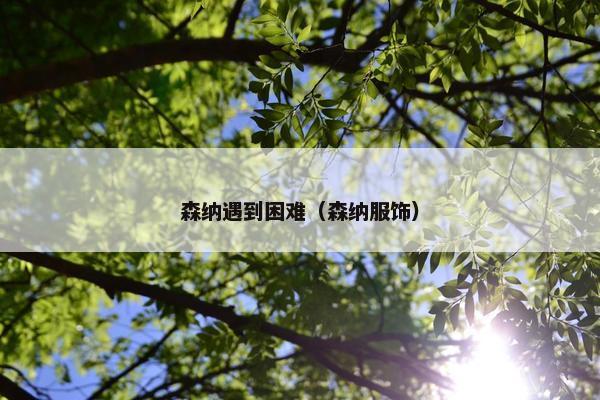 森纳遇到困难（森纳服饰）