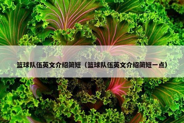 篮球队伍英文介绍简短（篮球队伍英文介绍简短一点）