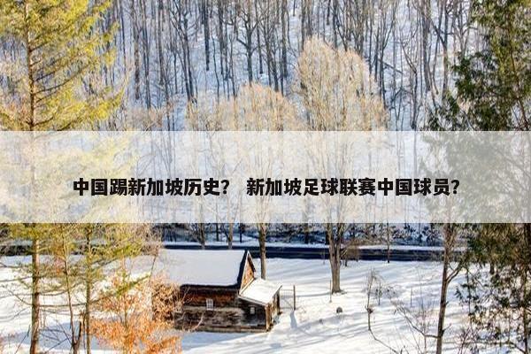 中国踢新加坡历史？ 新加坡足球联赛中国球员？
