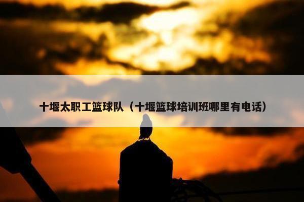十堰太职工篮球队（十堰篮球培训班哪里有电话）