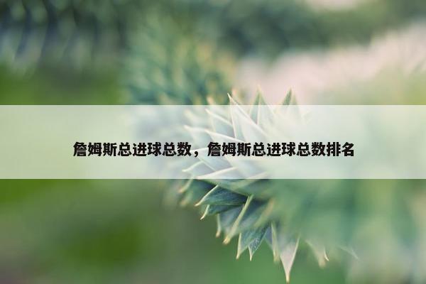 詹姆斯总进球总数，詹姆斯总进球总数排名