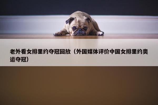 老外看女排里约夺冠回放（外国媒体评价中国女排里约奥运夺冠）