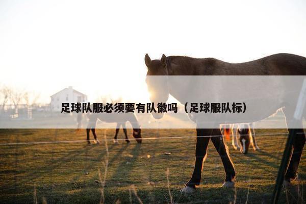 足球队服必须要有队徽吗（足球服队标）