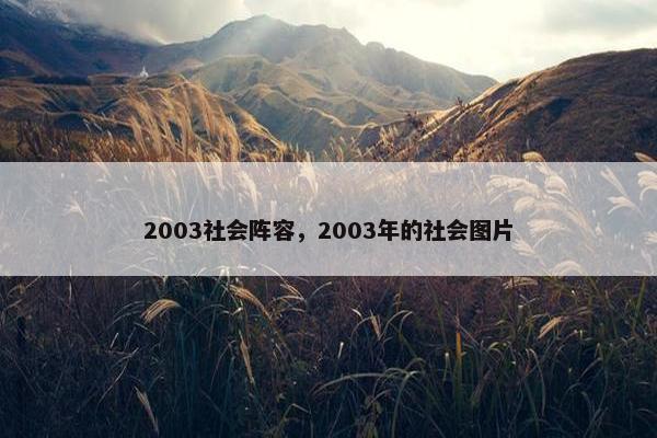 2003社会阵容，2003年的社会图片