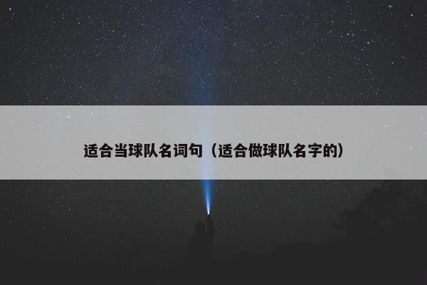 适合当球队名词句（适合做球队名字的）
