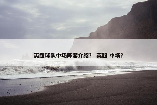英超球队中场阵容介绍？ 英超 中场？