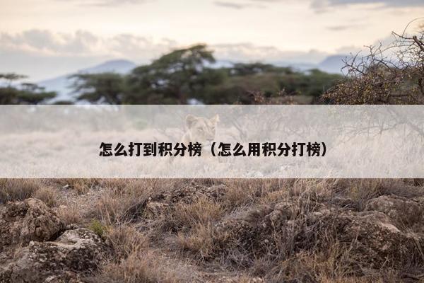 怎么打到积分榜（怎么用积分打榜）
