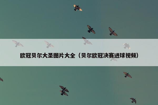 欧冠贝尔大圣图片大全（贝尔欧冠决赛进球视频）